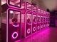 Coin Operated Pink Gift Vending Machine Arcade Game Capsule Toy Lottery Equipment